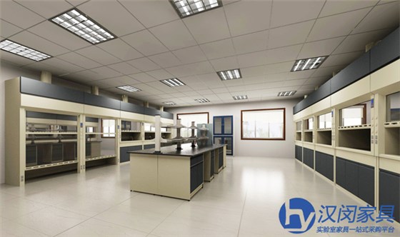 化學實驗室家具設計|漢閔高品質(zhì)化驗室設備廠家 化學實驗室家具設計|漢閔高品質(zhì)化驗室設備廠家
