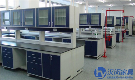 化學(xué)實驗室家具|漢閔上海實驗室家具廠家