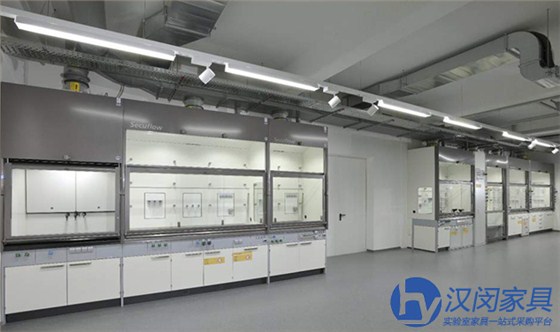 實(shí)驗(yàn)室通風(fēng)柜品牌|漢閔實(shí)驗(yàn)室家具