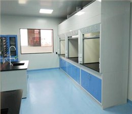 全鋼實驗室通風櫥實驗室排風柜